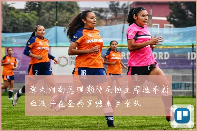 意大利副总理期待足协主席选举新血液并在圣西罗嘘米兰全队